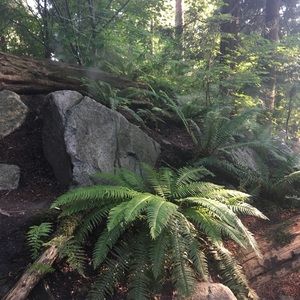 Meet your Posher, Brennan